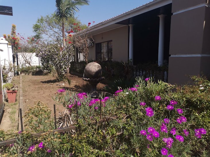 13 Bedroom Property for Sale in Norwood Eastern Cape